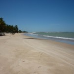 Plage de Petitinga Rio Grande Do Norte