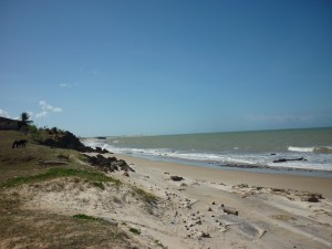 Plage deserte - Touros, Brésil