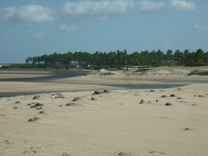 Zumbi Rio Punau