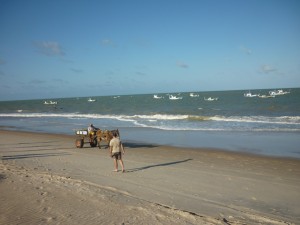 Horse on Zumbi beach