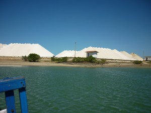 Galinhos