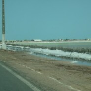 Littoral Rio Grande do Norte (suite)